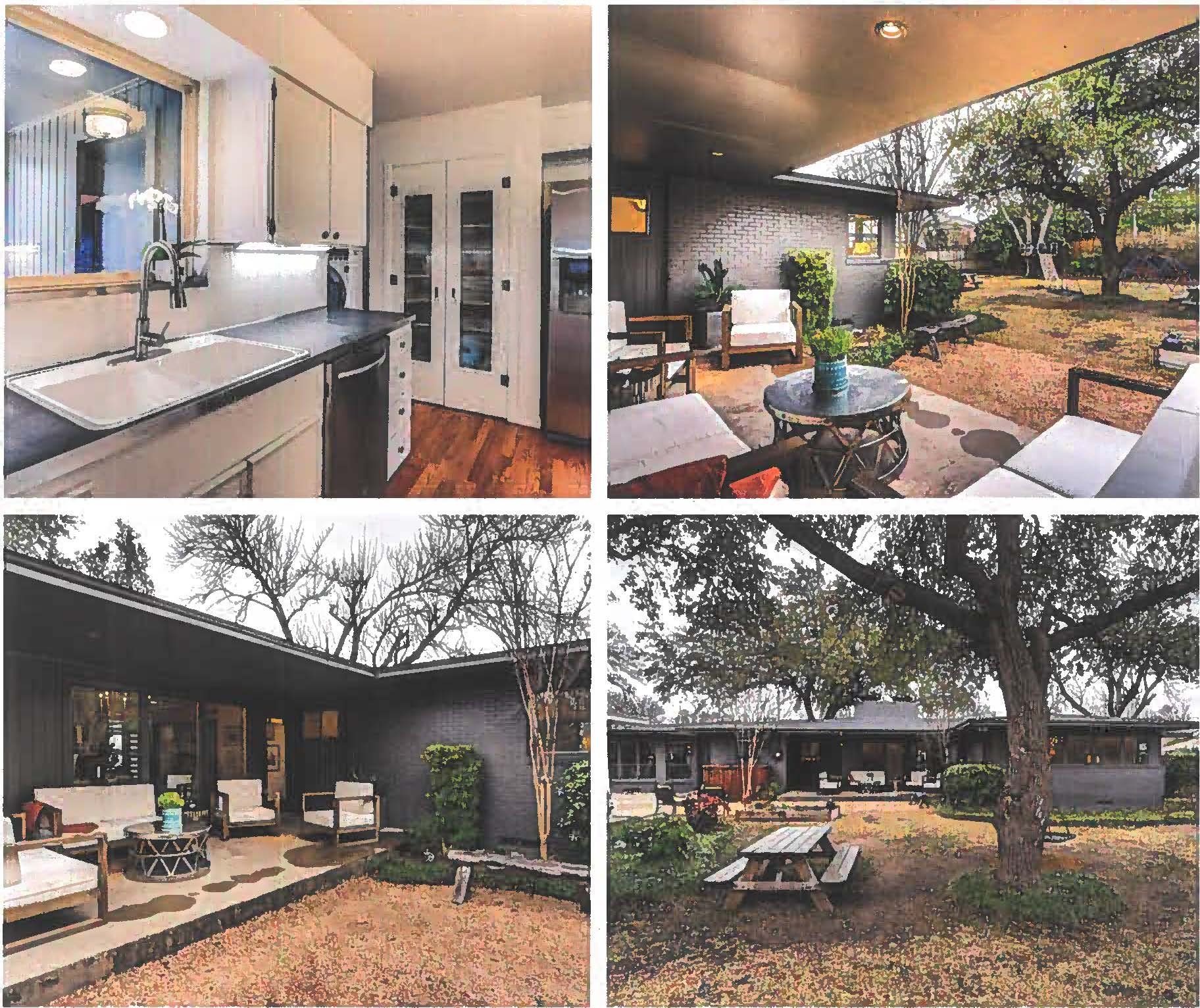 Backyard and mature tree canopy